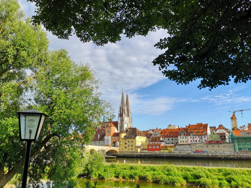 Old lime tree, Regensburg