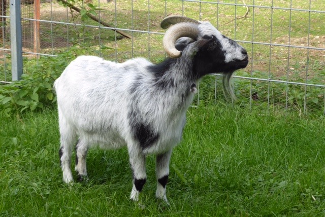 Kinder- und Jugendfarm Regensburg