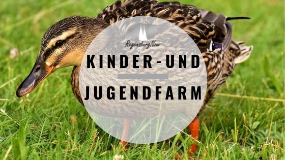 Kinder- und Jugendfarm Regensburg