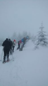 Schneeschuhwanderung Dreisessel