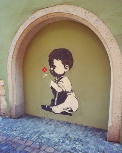 Streetart Regensburg Gato-M