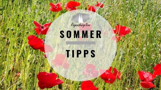 Sommer-Tipps Regensburg