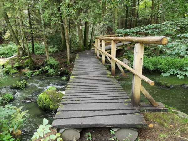 Ausflug Höllbachtal