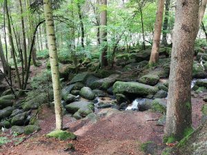 Ausflug Höllbachtal