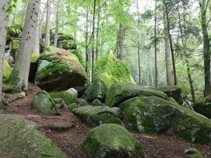 Ausflug Höllbachtal