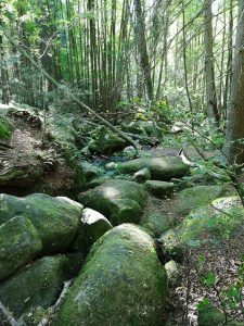 Ausflug Höllbachtal