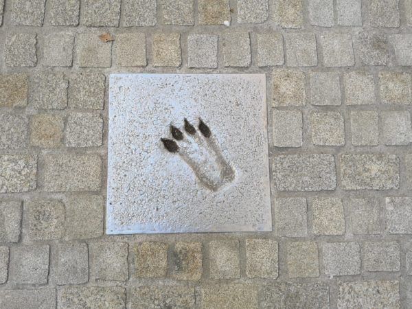 Schwarze-Bären-Strasse