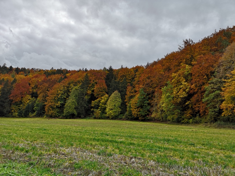 Im Tal der schwarzen Laber