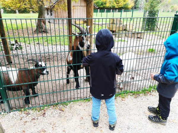 Wildpark Höllohe