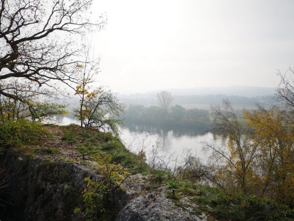 Blick auf die Donau vom Max-Schultze-Steig